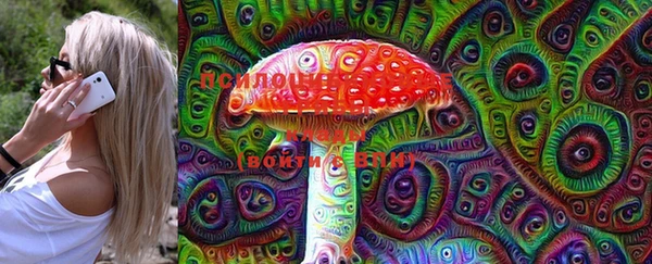 крисы Бронницы