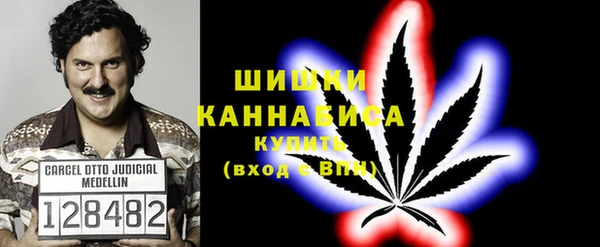 mdma Богородицк