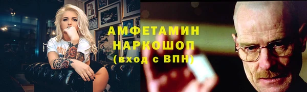 крисы Бронницы