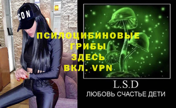 мяу мяу мука Бородино