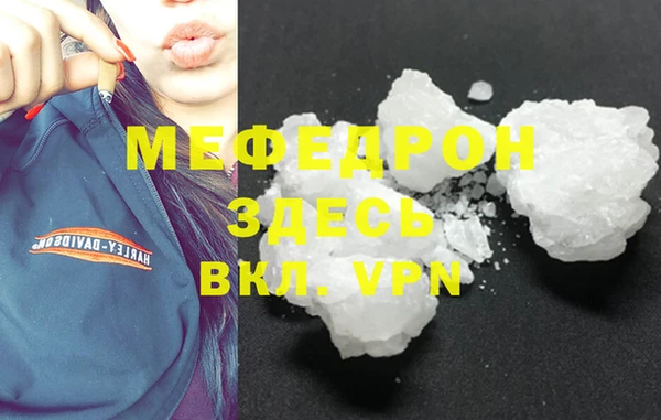 молекула духа Богданович