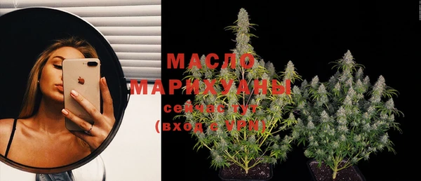 крисы Бронницы