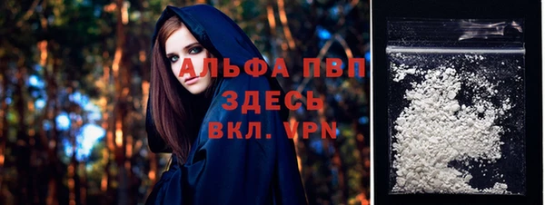 шишки Рославль