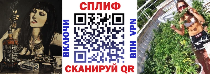гидра зеркало  Мегион  Бошки Шишки гибрид 